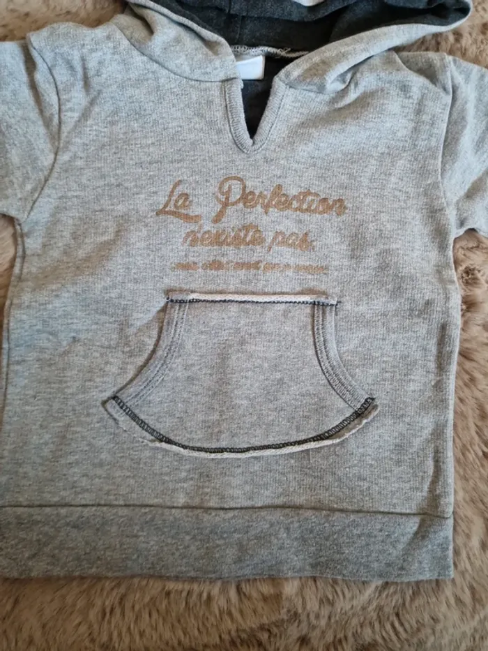 Sweat à capuche - photo numéro 2
