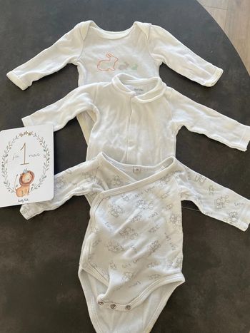 Lot Bodies multimarque