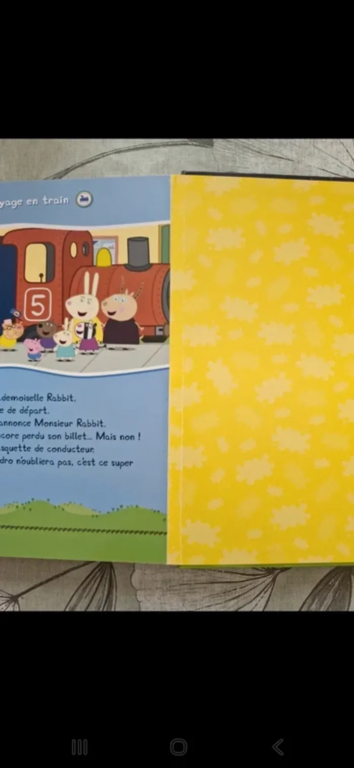 Grand livre peppa - photo numéro 6