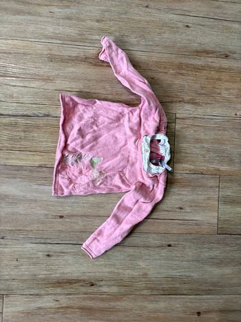 Pull rose orchestra 6M 67 cm