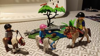 Cavaliers avec poneys et cheval PLAYMOBIL complet sans boîte
