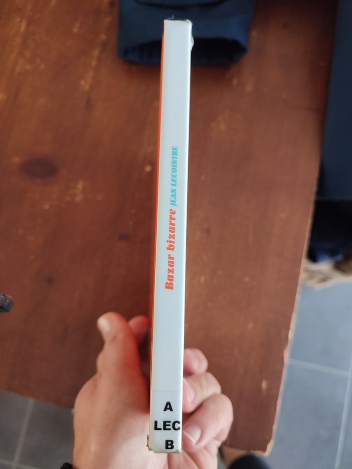 Livre Bazar bizarre - photo numéro 6