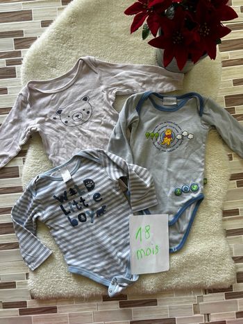 Lot de 3 bodies ~ 18 mois