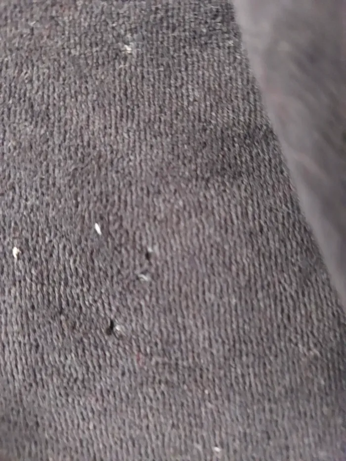 Veste - photo numéro 5