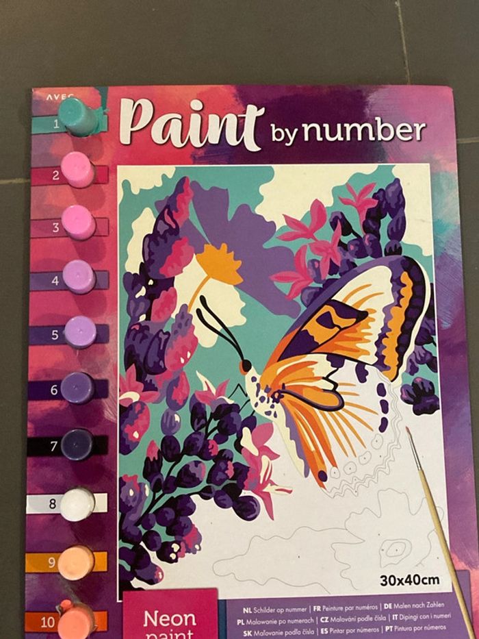 Peinture par numéro papillon