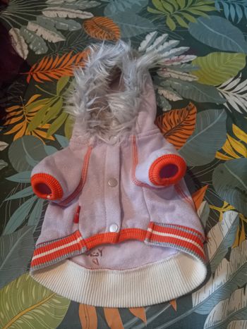 Veste pour petit chien