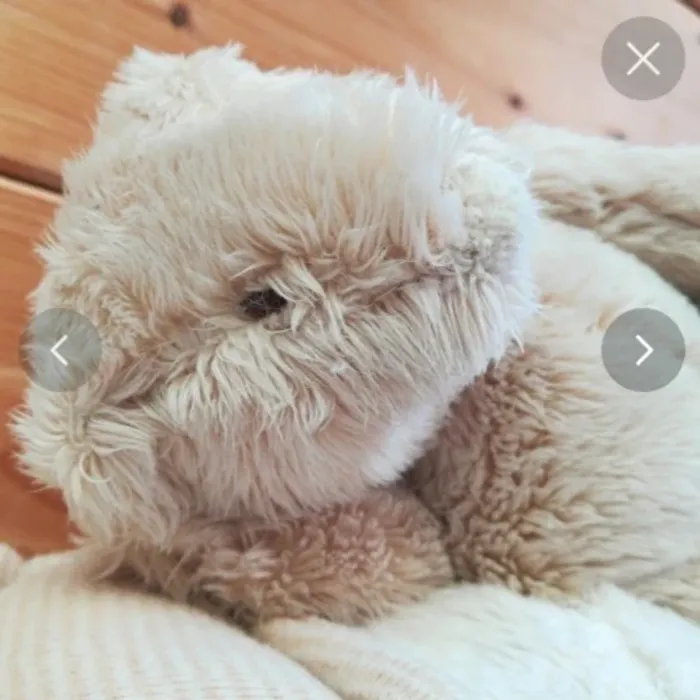 Doudou musical Linvosges - photo numéro 6