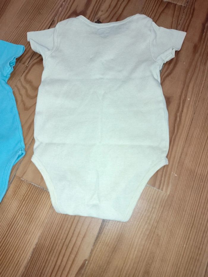 Lot bodies manches courtes - photo numéro 5