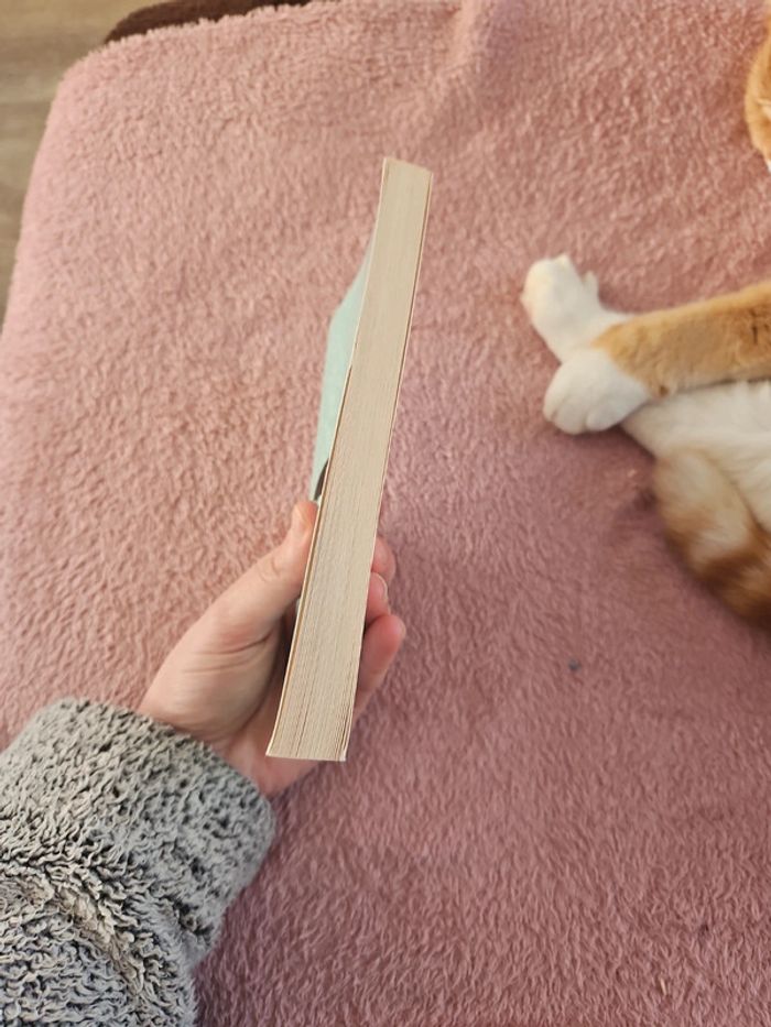 Livre - photo numéro 5