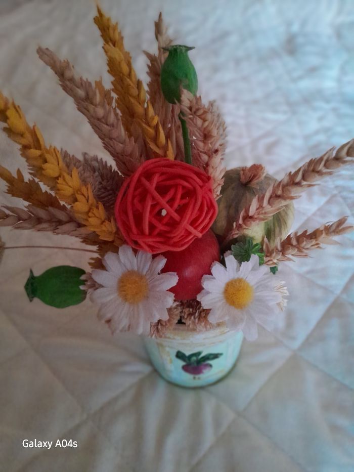 Deco  radis