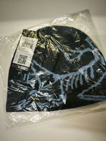 Bonnet Arc'teryx bleu Bird head toque nightscape/glacial