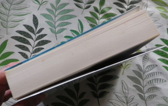 Une saison de passion de Danielle Steel Ed. France Loisirs - photo numéro 4