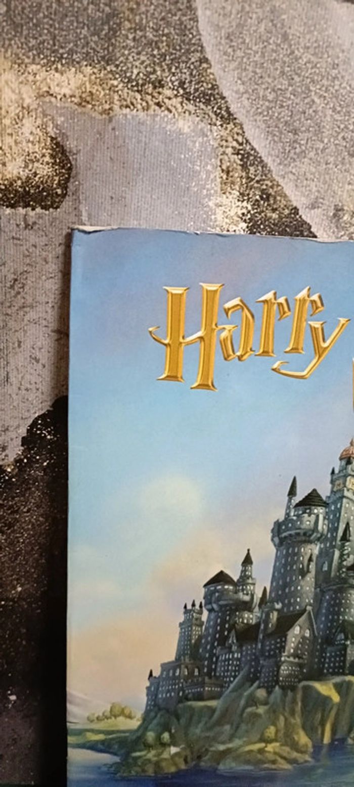 Livre coloriage Harry Potter - photo numéro 2