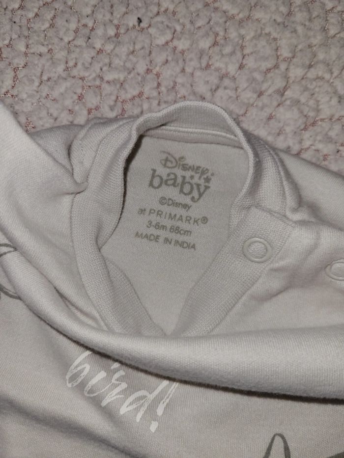 Tee-shirt panpan - photo numéro 5