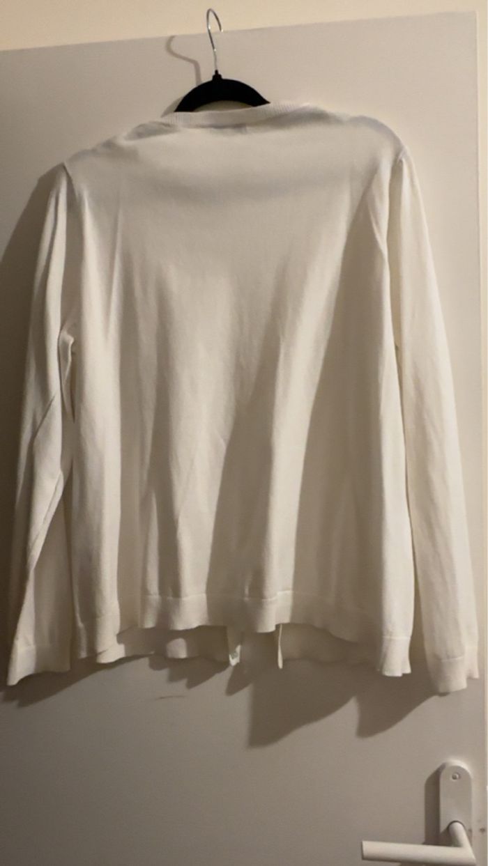 Lot de 2 gilets - photo numéro 4