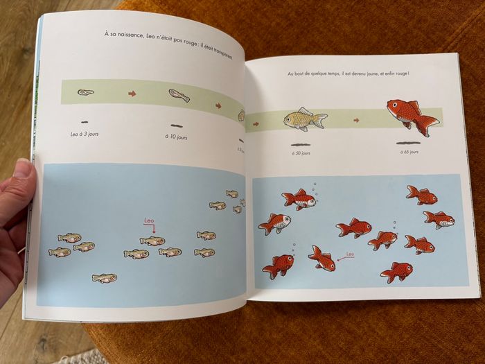 Le poisson de Nanami - photo numéro 4