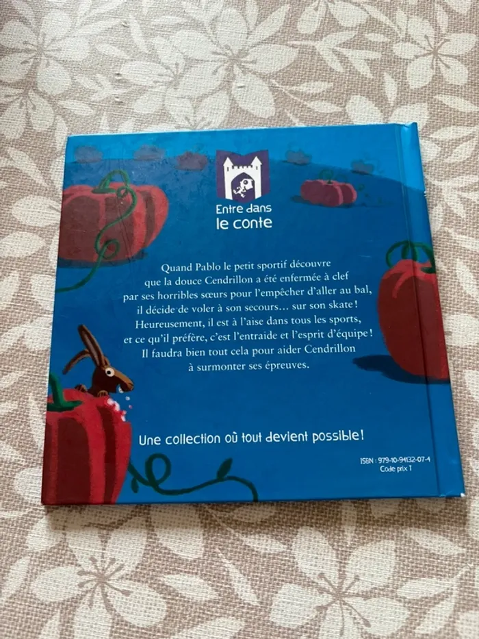 Tiens bon cendrillon ! 📚 - photo numéro 3