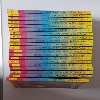 collection 20 volumes la cabane magique