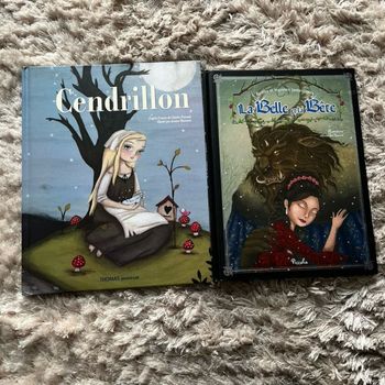 Lot livres princesses