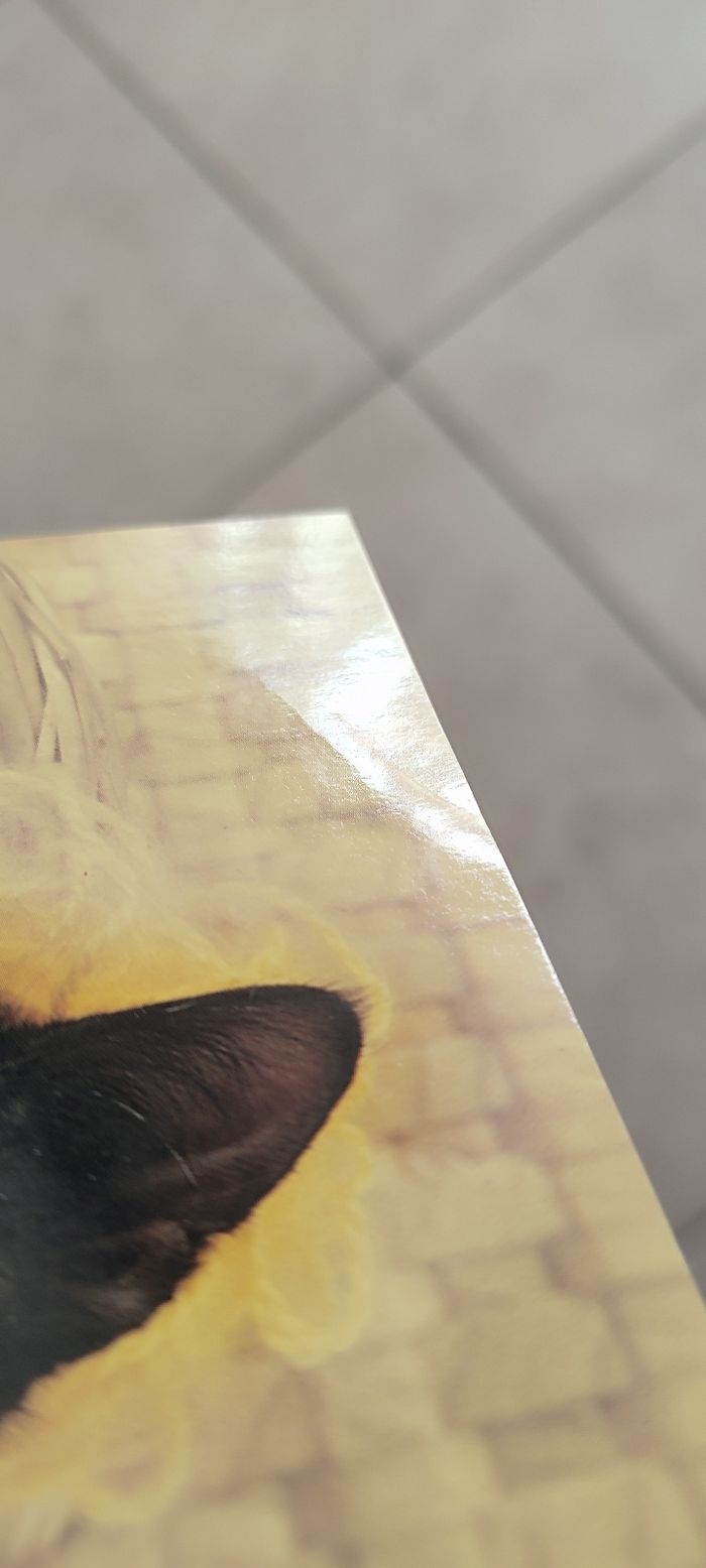 Lot de 5 cartes postales animaux - photo numéro 6