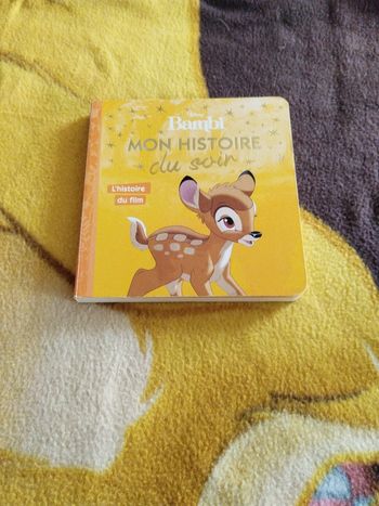 Mon histoire du soir