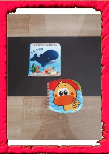Lot 2 livres bain bébé