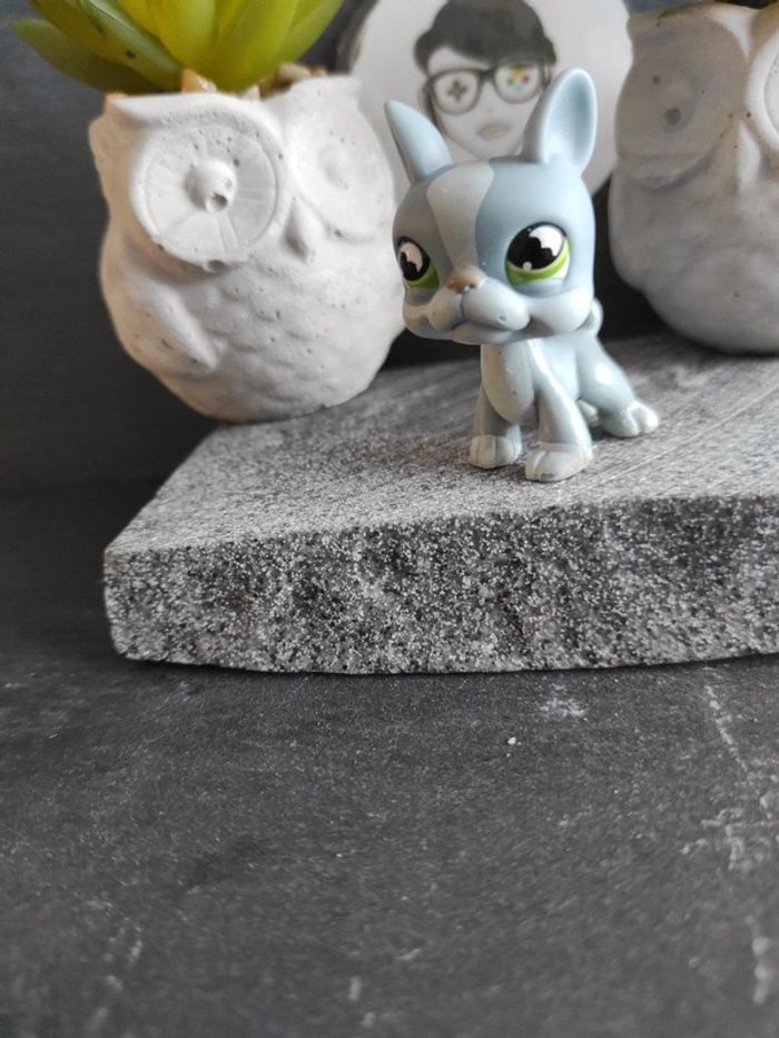 Littlest Petshop Pet Shop LPS dog chien boston terrier 857 #geektradelpschien - photo numéro 7