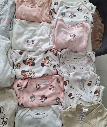 Lots 6 mois