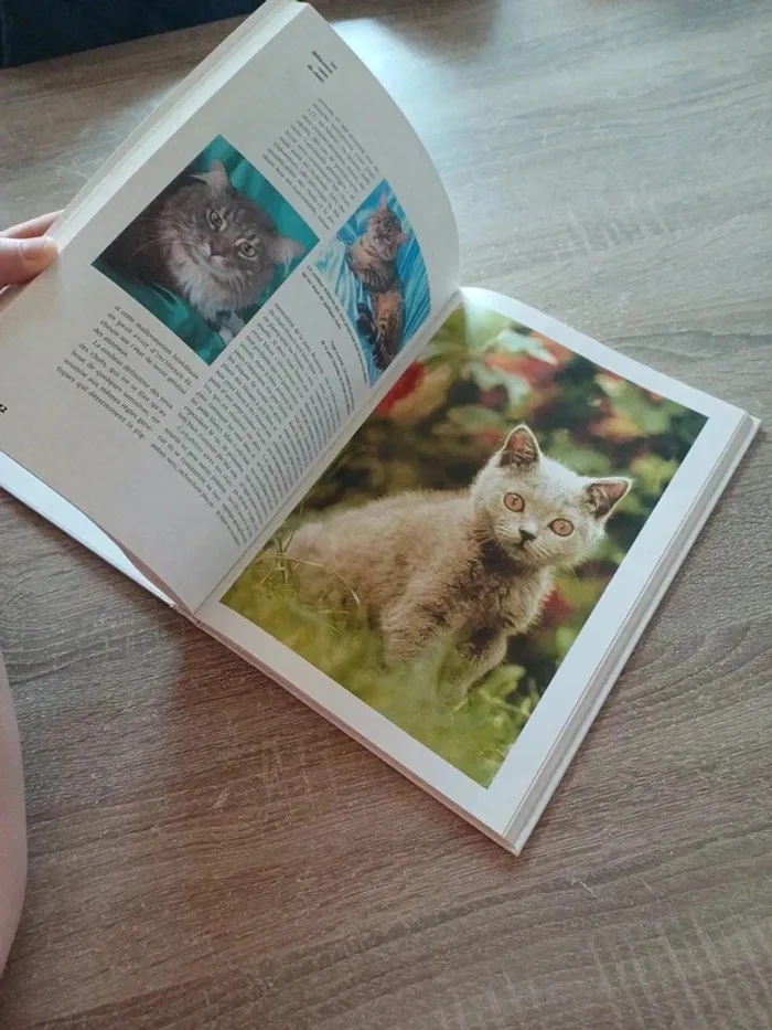 Livre " les chats , ces compagnons de jeu aux pattes de velours " - photo numéro 12
