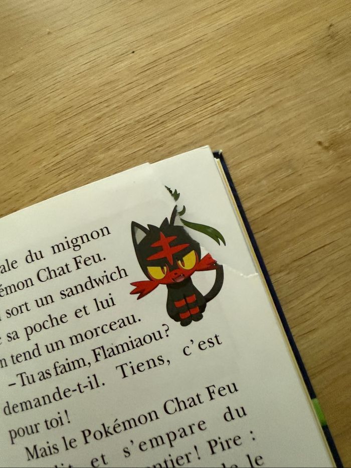 Livre Pokémon un drôle de Flamiaou - photo numéro 4