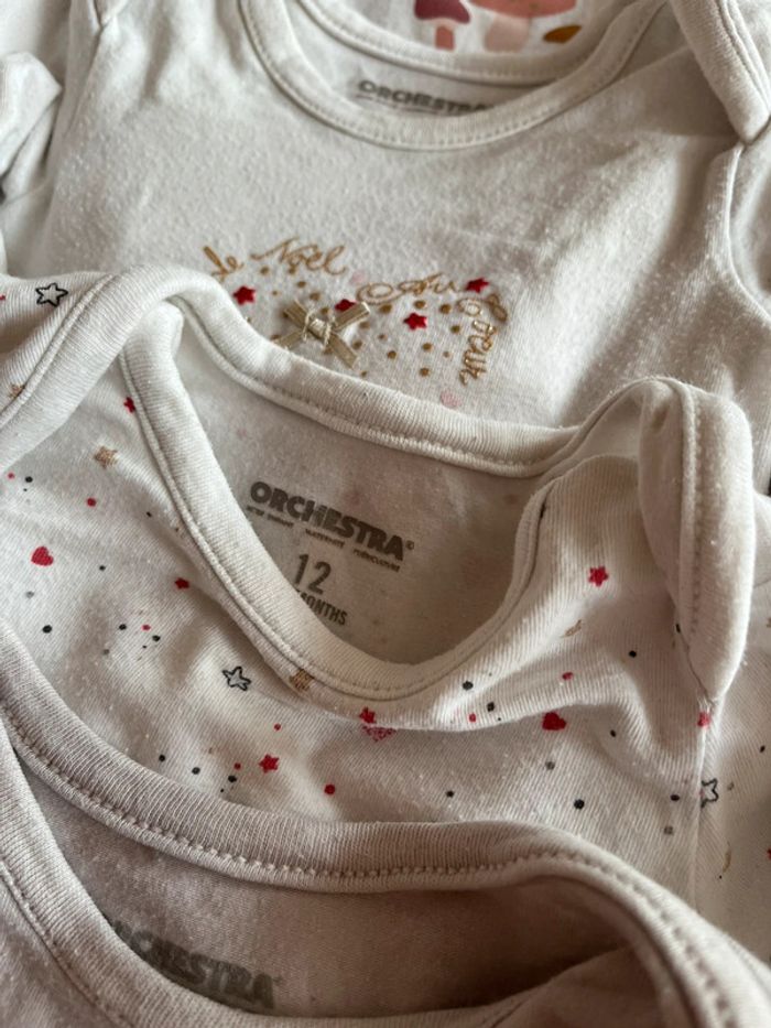 Lot bodies 12 mois - photo numéro 4