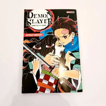 Demon Slayer - Extrait