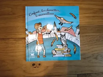 Livre : l'enfant, les chouettes, le merveilleux.