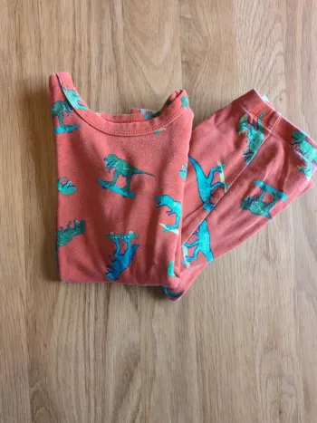 Pyjama dinosaures