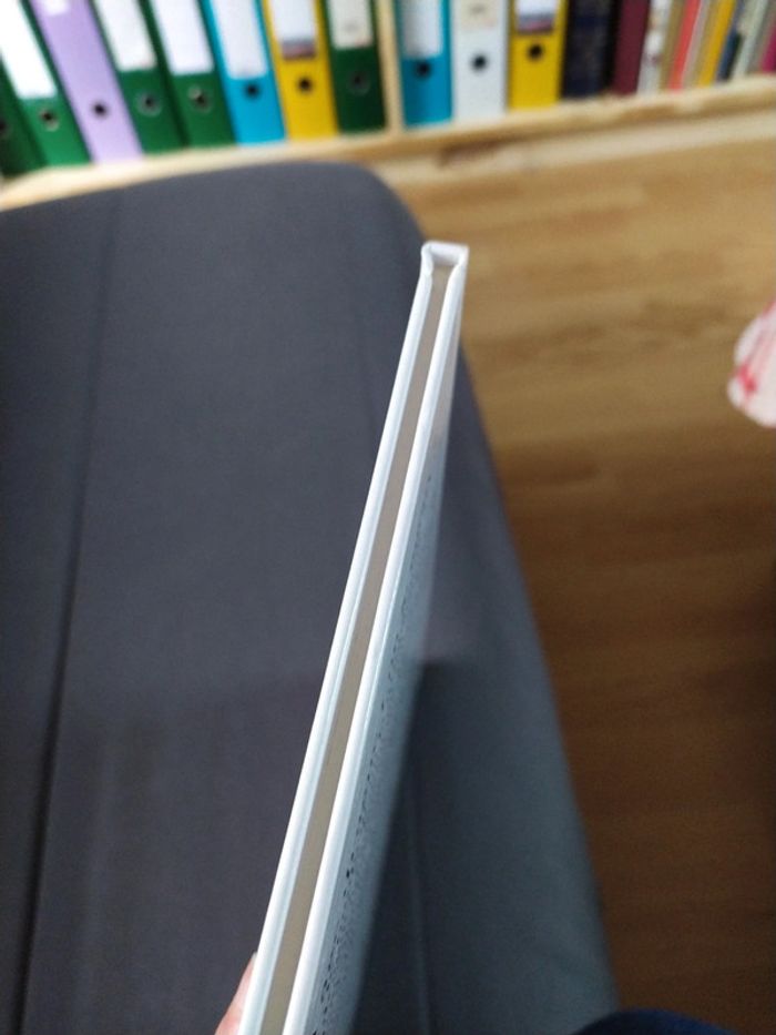 Le guide de la Drague de Tybo - Goupil - photo numéro 4