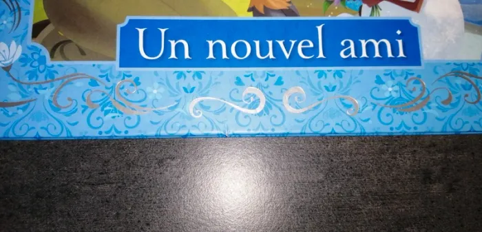 Reine des neiges - un nouvel ami - photo numéro 3