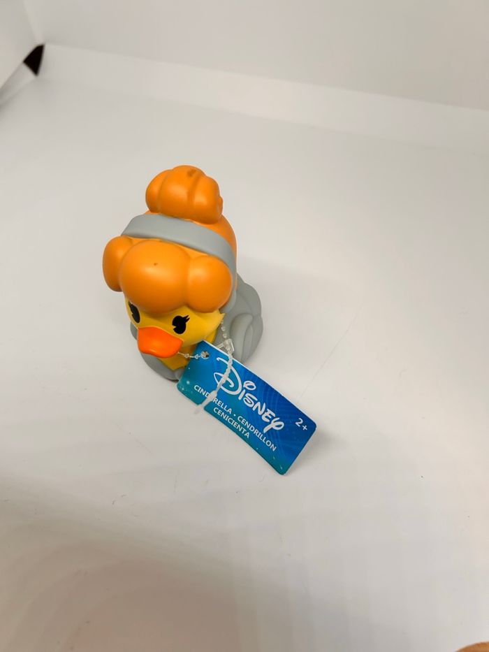 Petit canard Cendrillon - photo numéro 5