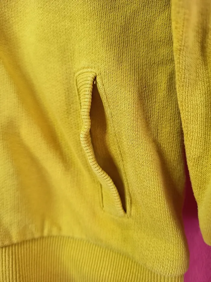 Sweat à capuche enfant (E034) - photo numéro 2