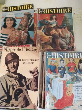 Revues miroir de l'histoire