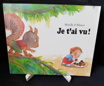 Je t'ai vu ! - Mireille d'Allancé - Ecole des loisirs