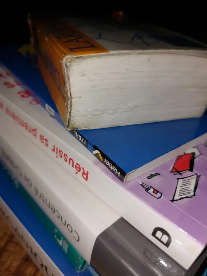 Livre Anti-fautes d'orthographes - photo numéro 3