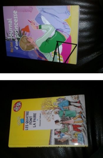 Journal d'une princesse les quatre font la paire