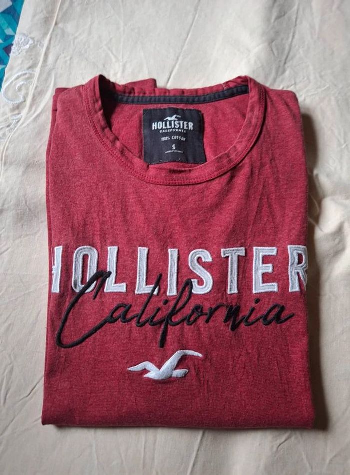 tee shirt hollister ts