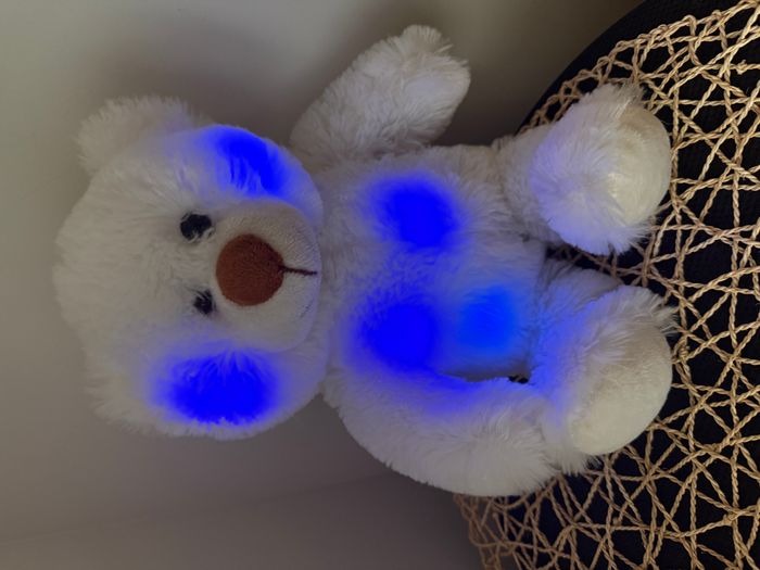 Ours blanc qui change de couleurs - photo numéro 4