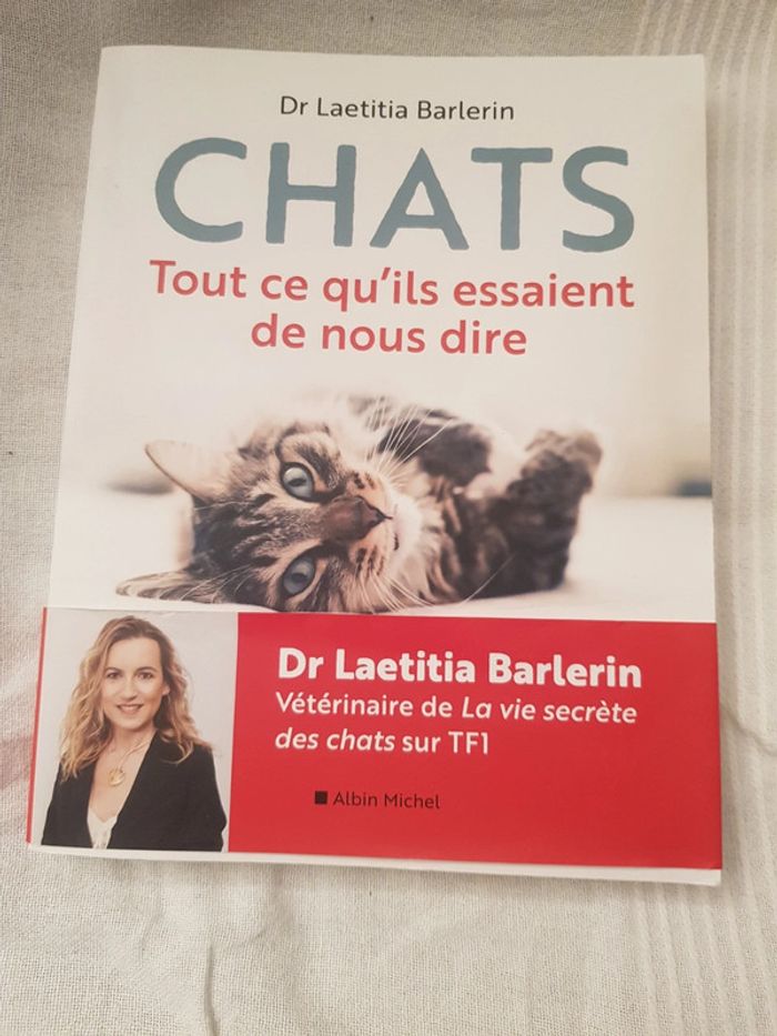 Chats tout ce qu'ils essaient de nous dire