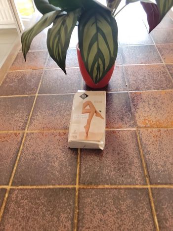 Collant effet mat Taille 6