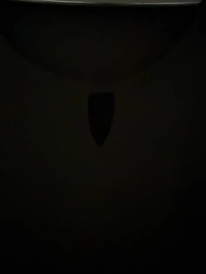 Petite robe noire - photo numéro 3