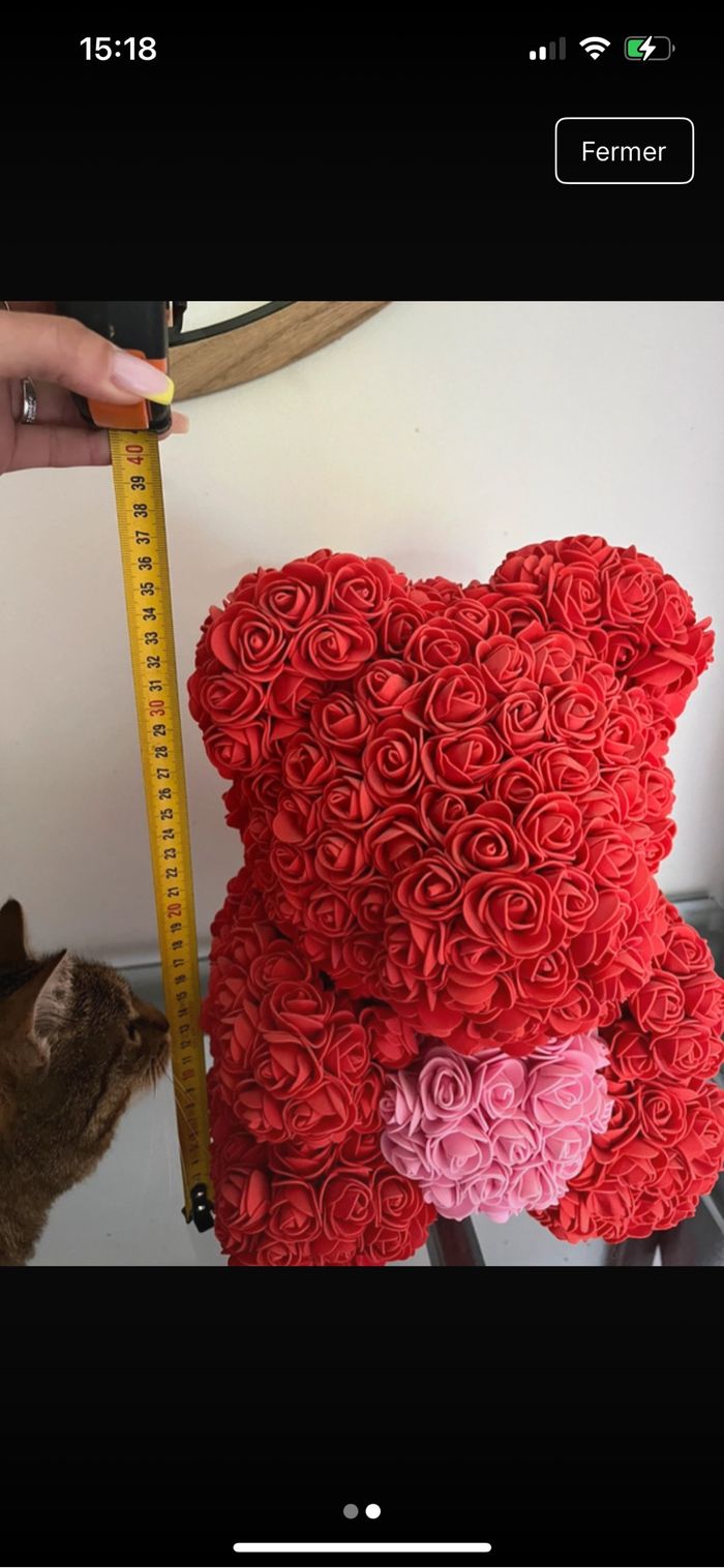 Nounous en rose - photo numéro 2