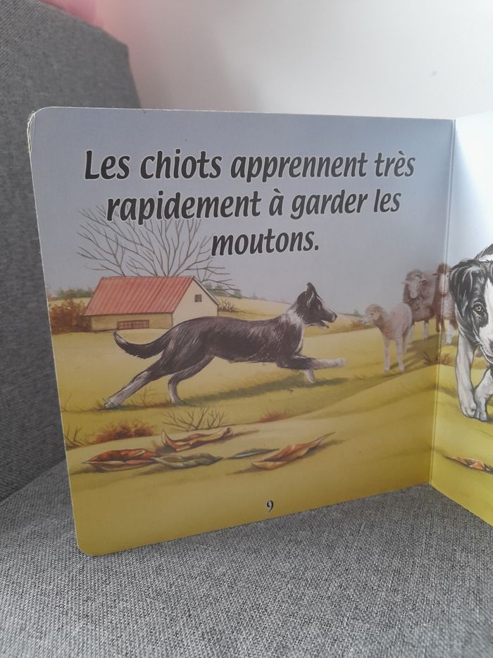Livre cartonné 2002 : Les animaux de la ferme, La chienne et les chiots - photo numéro 8