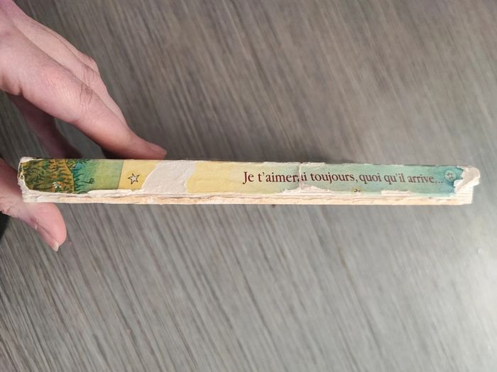 Livre je t'aimerai toujours quoi qu'il arrive - photo numéro 2